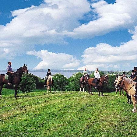 Ponyhof Naeve Am Wittensee Gross Wittensee Bagian luar foto