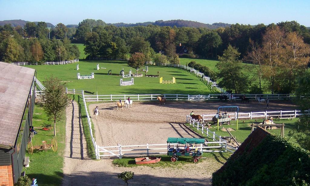 Ponyhof Naeve Am Wittensee Gross Wittensee Bagian luar foto